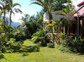 Chalet créole à Salazie : gîte familial tout équipé - FR-1-786-31